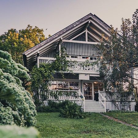 Gardenia-Altach, 2-4 P, Kueche, Garten, Terrasse, Parkplatz, Wifi, Ski Stellplatz Kültér fotó