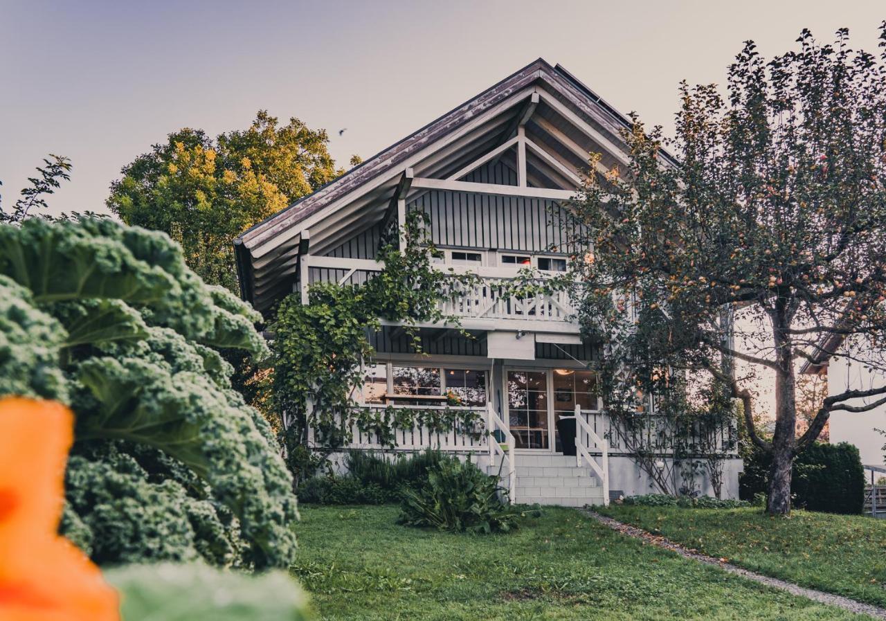 Gardenia-Altach, 2-4 P, Kueche, Garten, Terrasse, Parkplatz, Wifi, Ski Stellplatz Kültér fotó